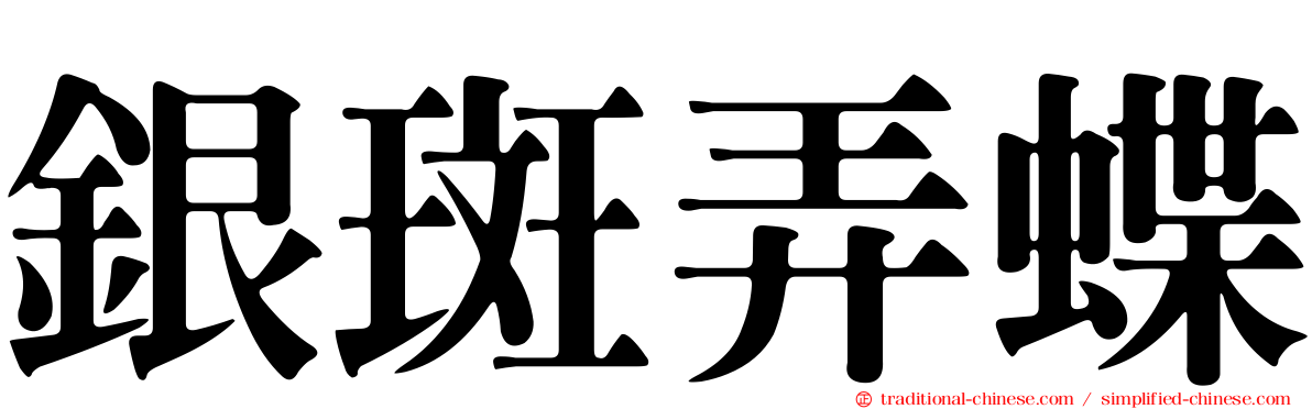 銀斑弄蝶