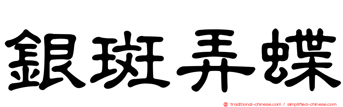 銀斑弄蝶