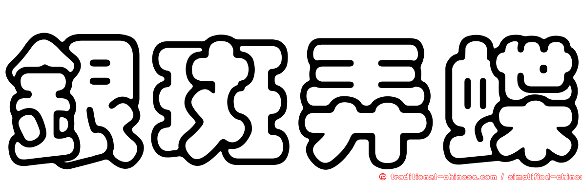 銀斑弄蝶
