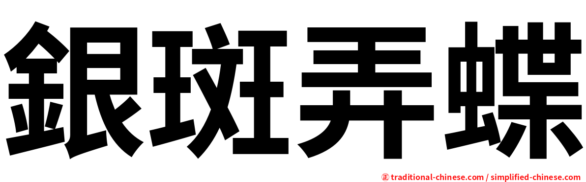 銀斑弄蝶