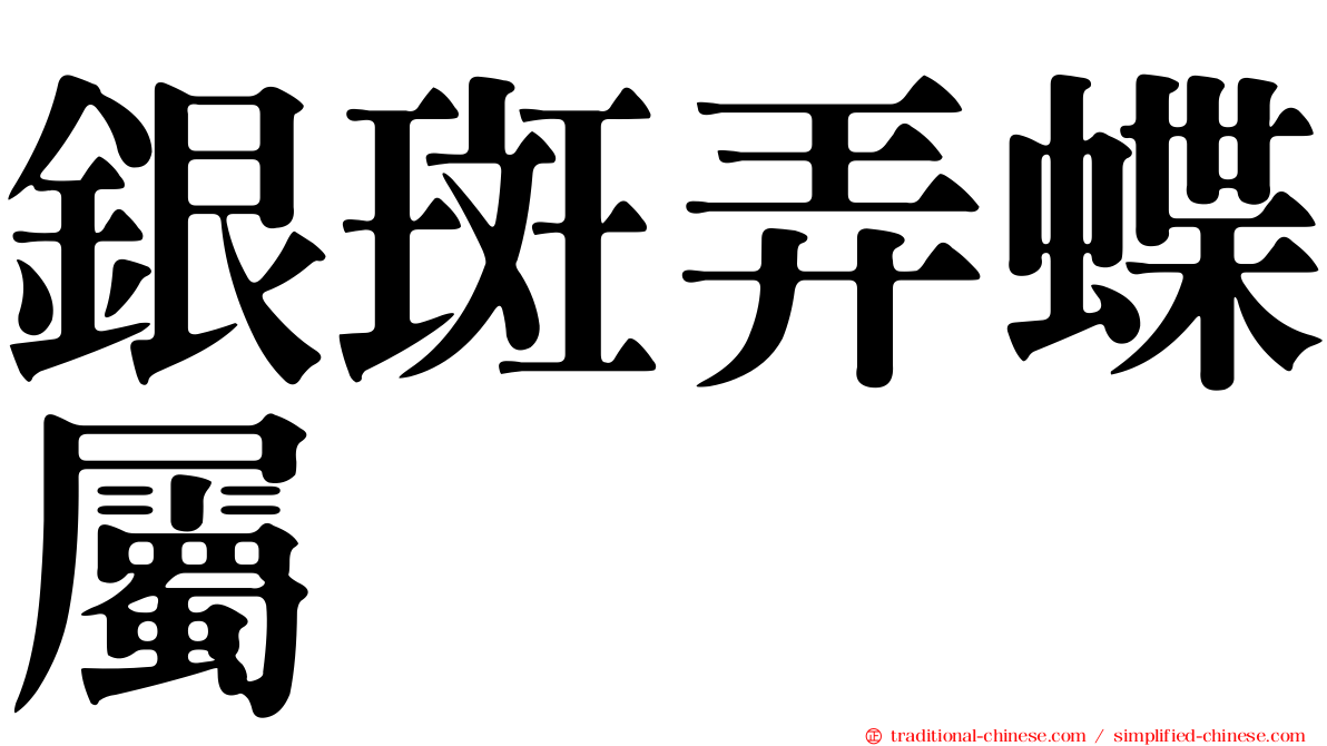 銀斑弄蝶屬