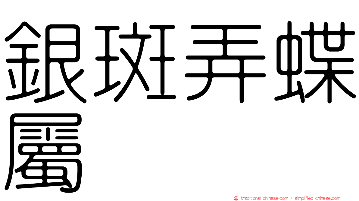 銀斑弄蝶屬