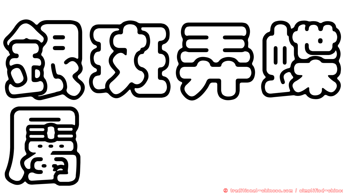 銀斑弄蝶屬