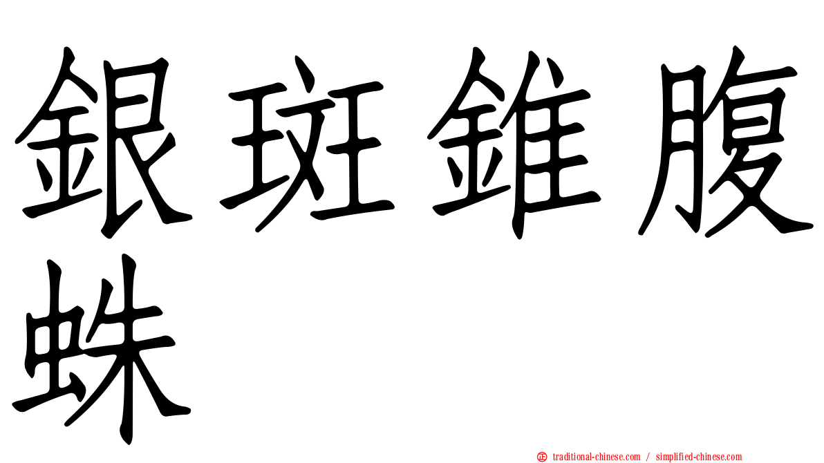 銀斑錐腹蛛
