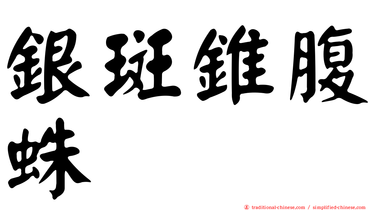 銀斑錐腹蛛