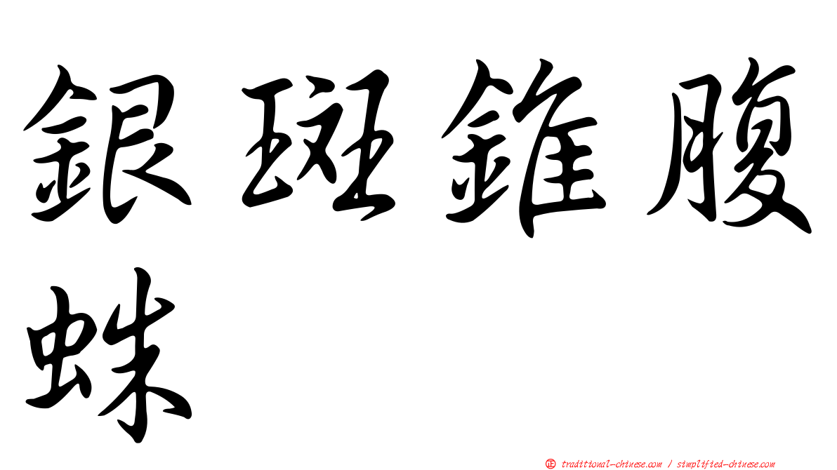 銀斑錐腹蛛