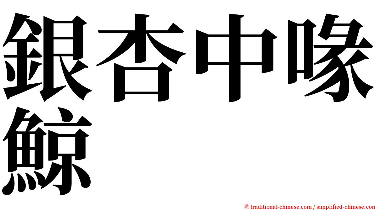 銀杏中喙鯨 serif font