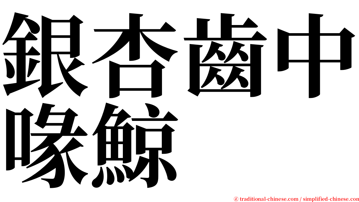 銀杏齒中喙鯨 serif font