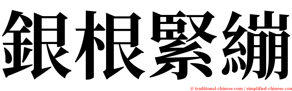 銀根緊繃 serif font