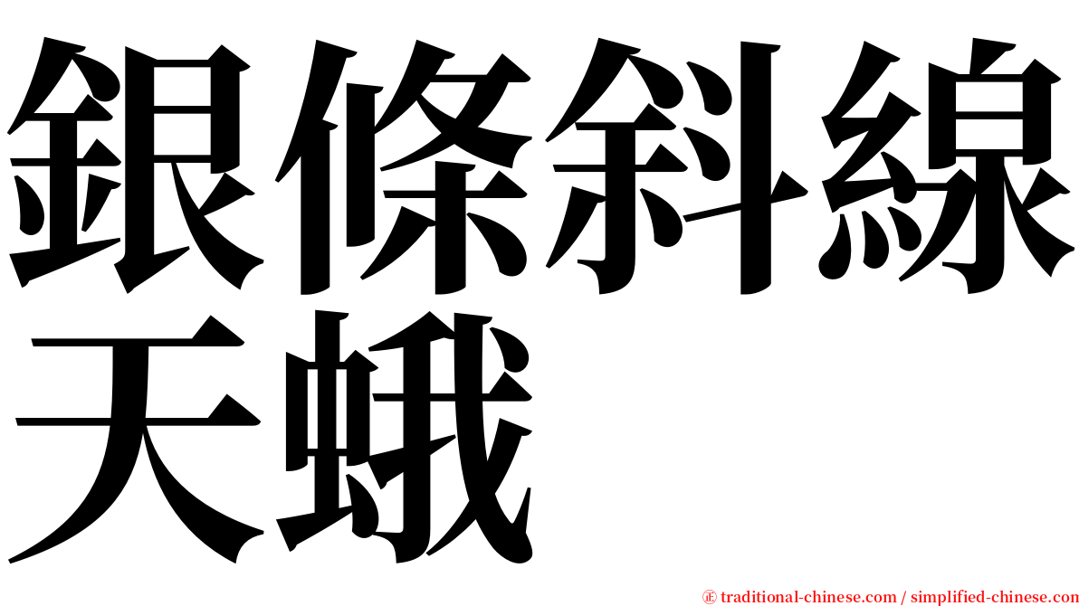 銀條斜線天蛾 serif font