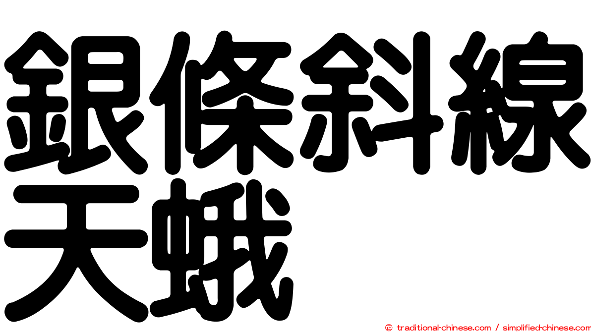 銀條斜線天蛾