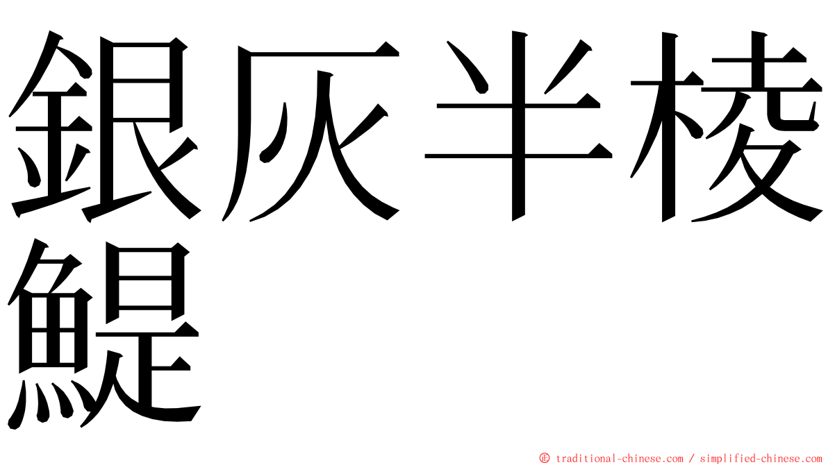 銀灰半棱鯷 ming font