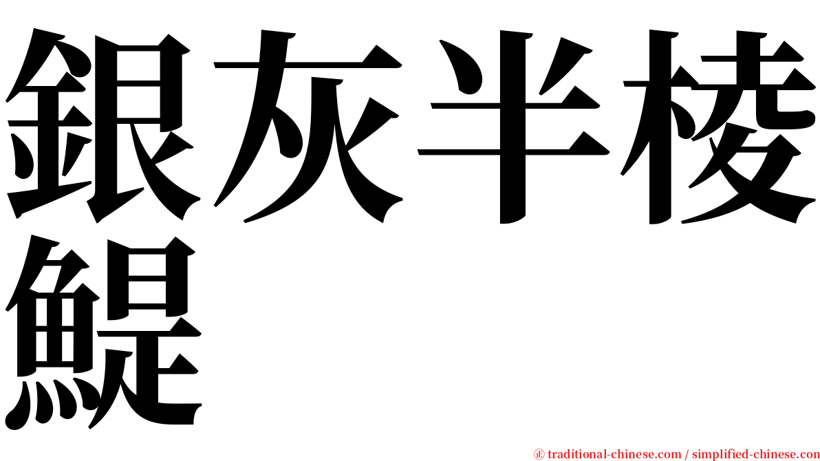 銀灰半棱鯷 serif font