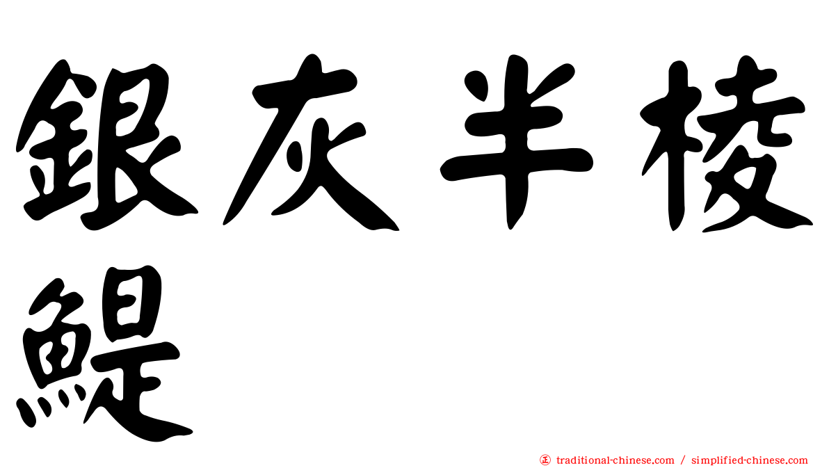 銀灰半棱鯷