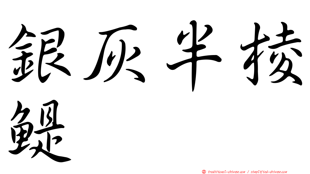 銀灰半棱鯷