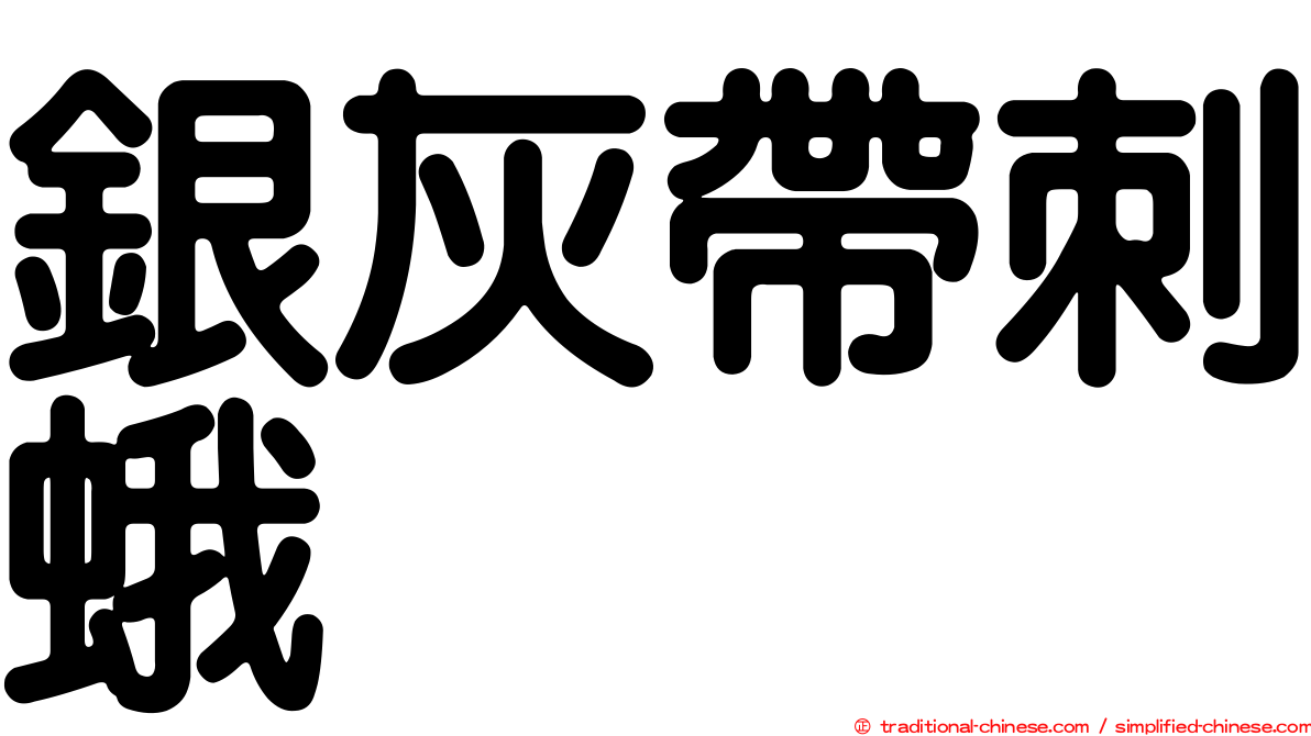 銀灰帶刺蛾