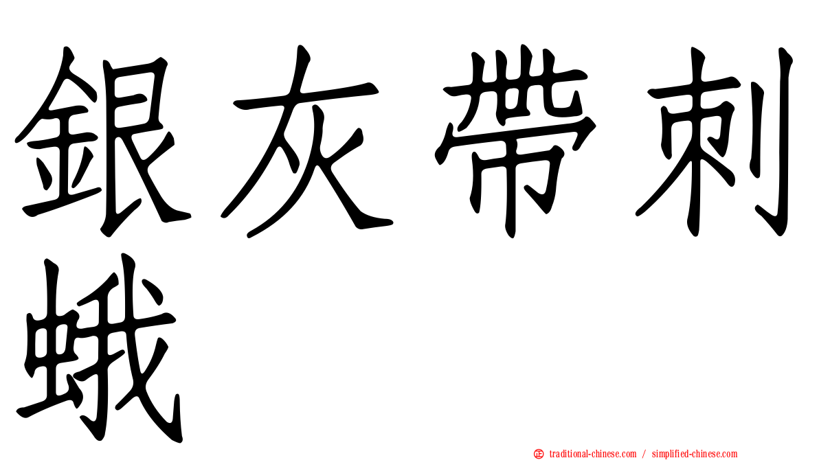 銀灰帶刺蛾