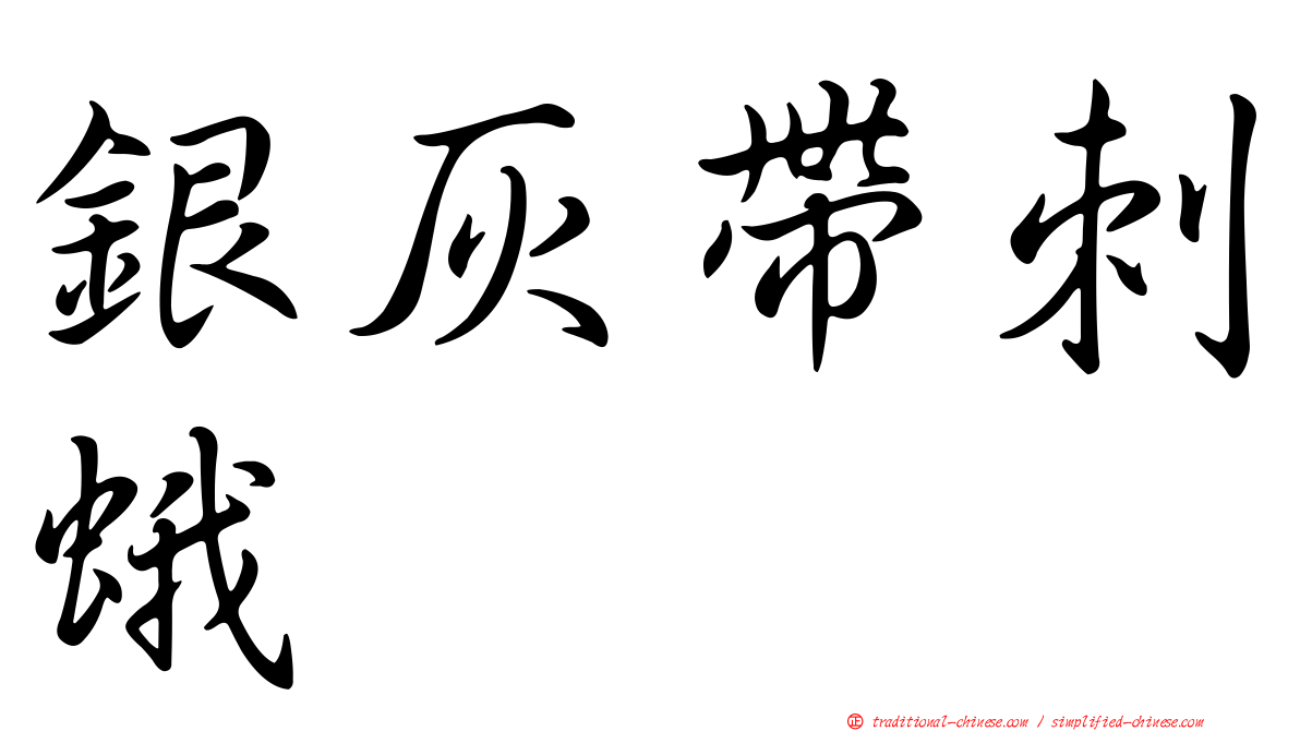 銀灰帶刺蛾