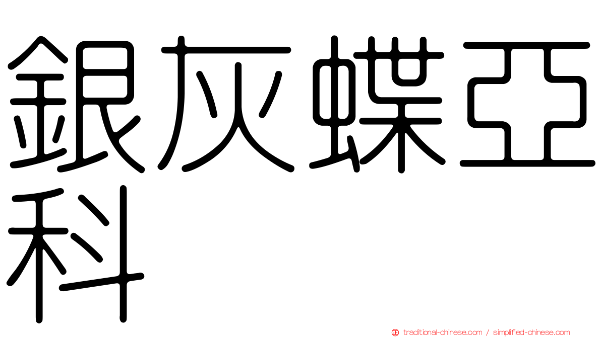 銀灰蝶亞科