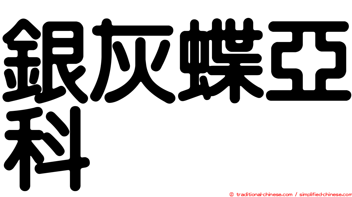 銀灰蝶亞科