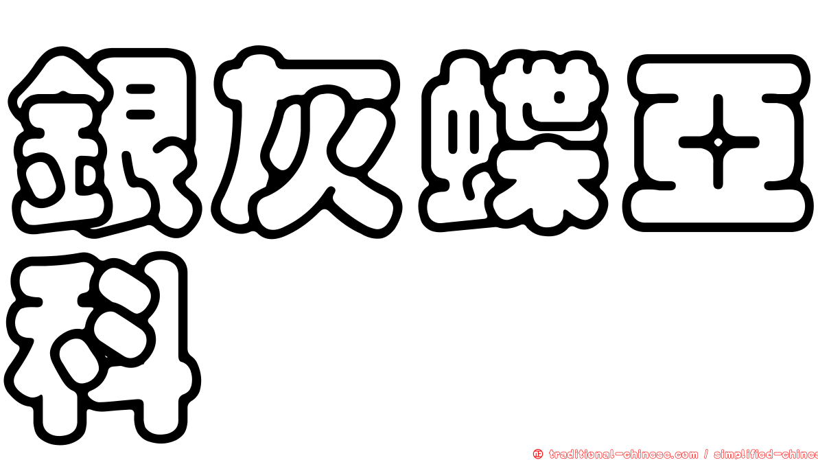 銀灰蝶亞科