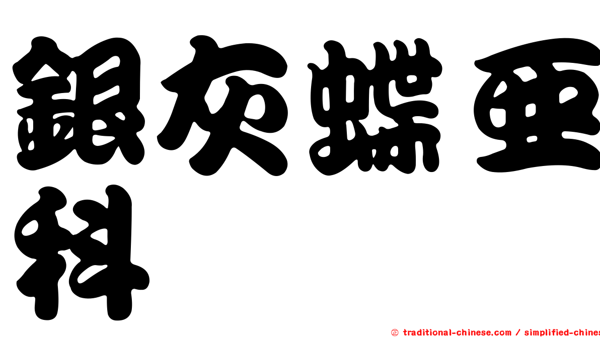 銀灰蝶亞科