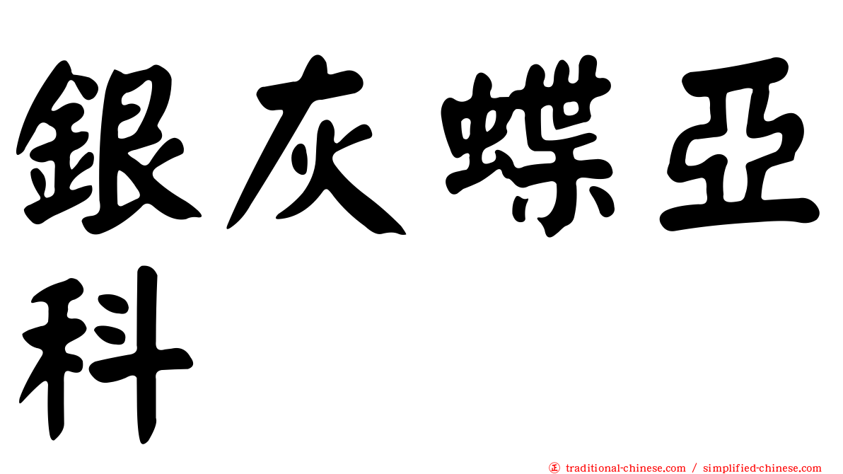 銀灰蝶亞科