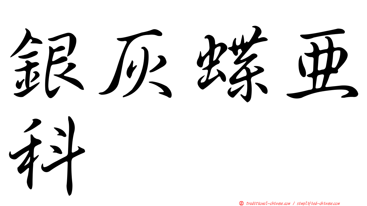 銀灰蝶亞科