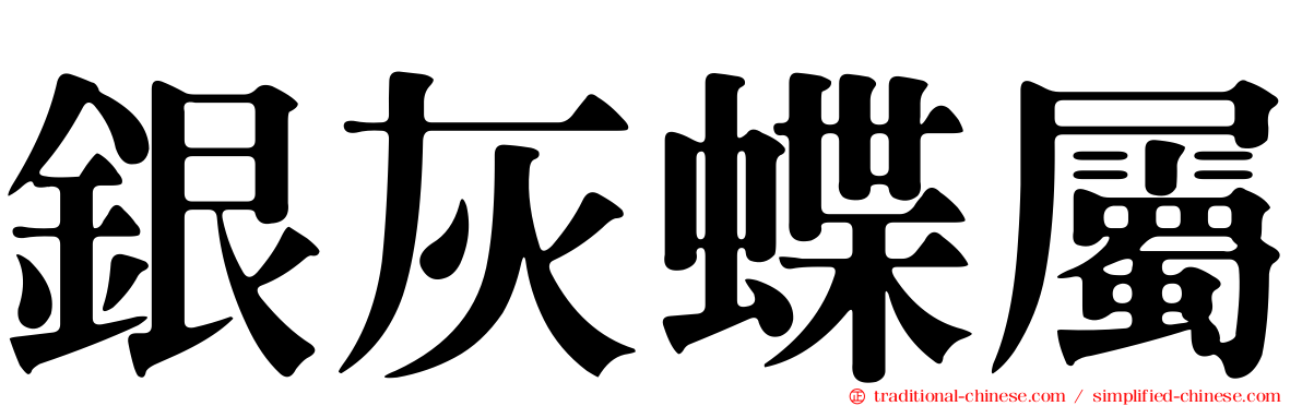 銀灰蝶屬