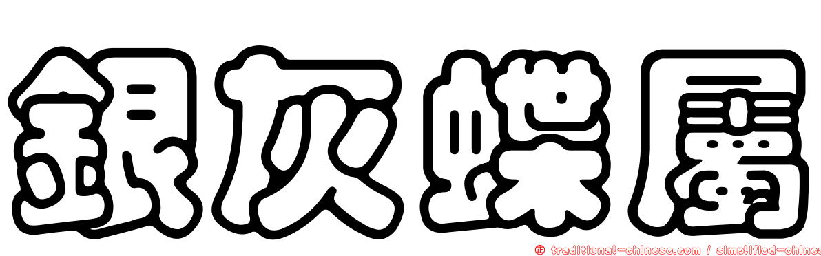 銀灰蝶屬