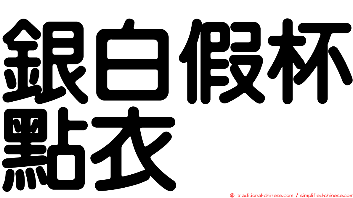銀白假杯點衣