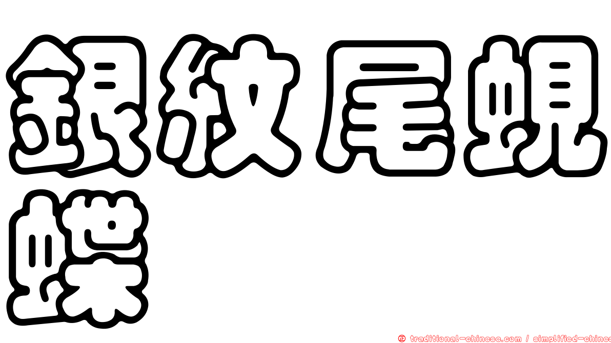 銀紋尾蜆蝶