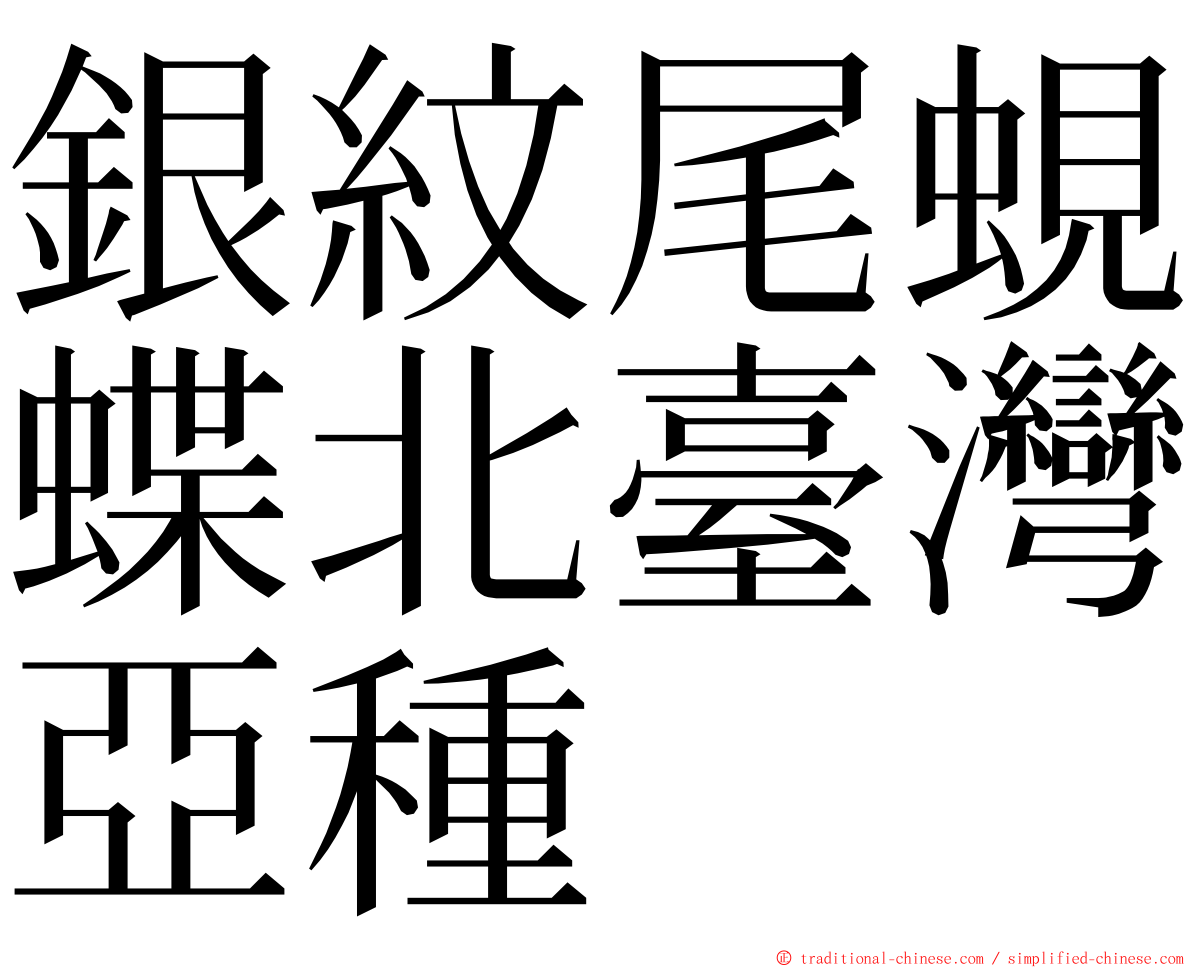 銀紋尾蜆蝶北臺灣亞種 ming font