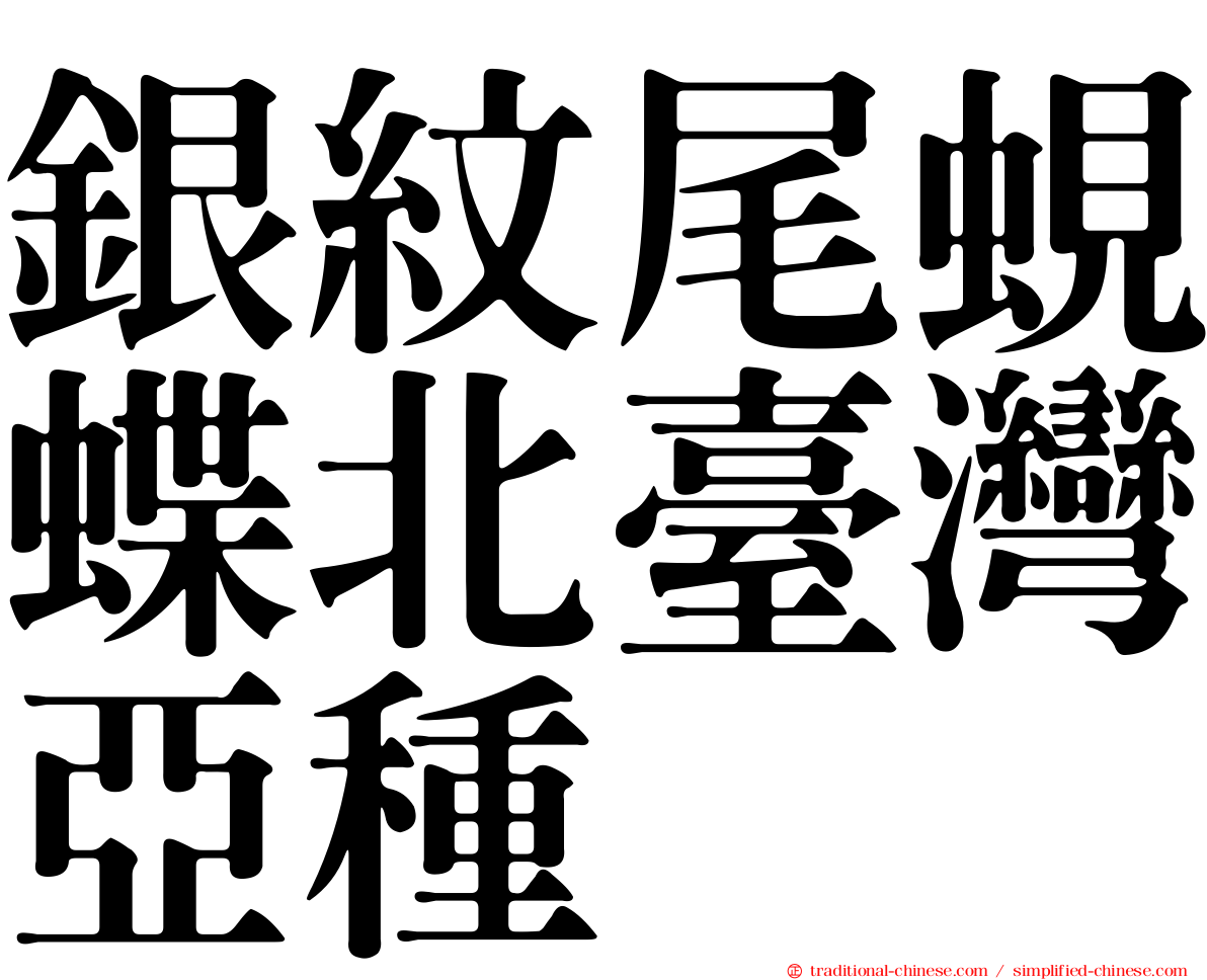 銀紋尾蜆蝶北臺灣亞種
