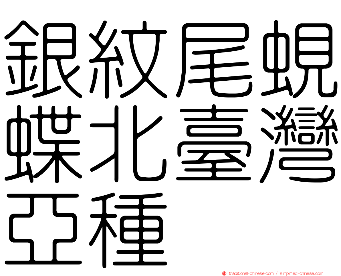 銀紋尾蜆蝶北臺灣亞種