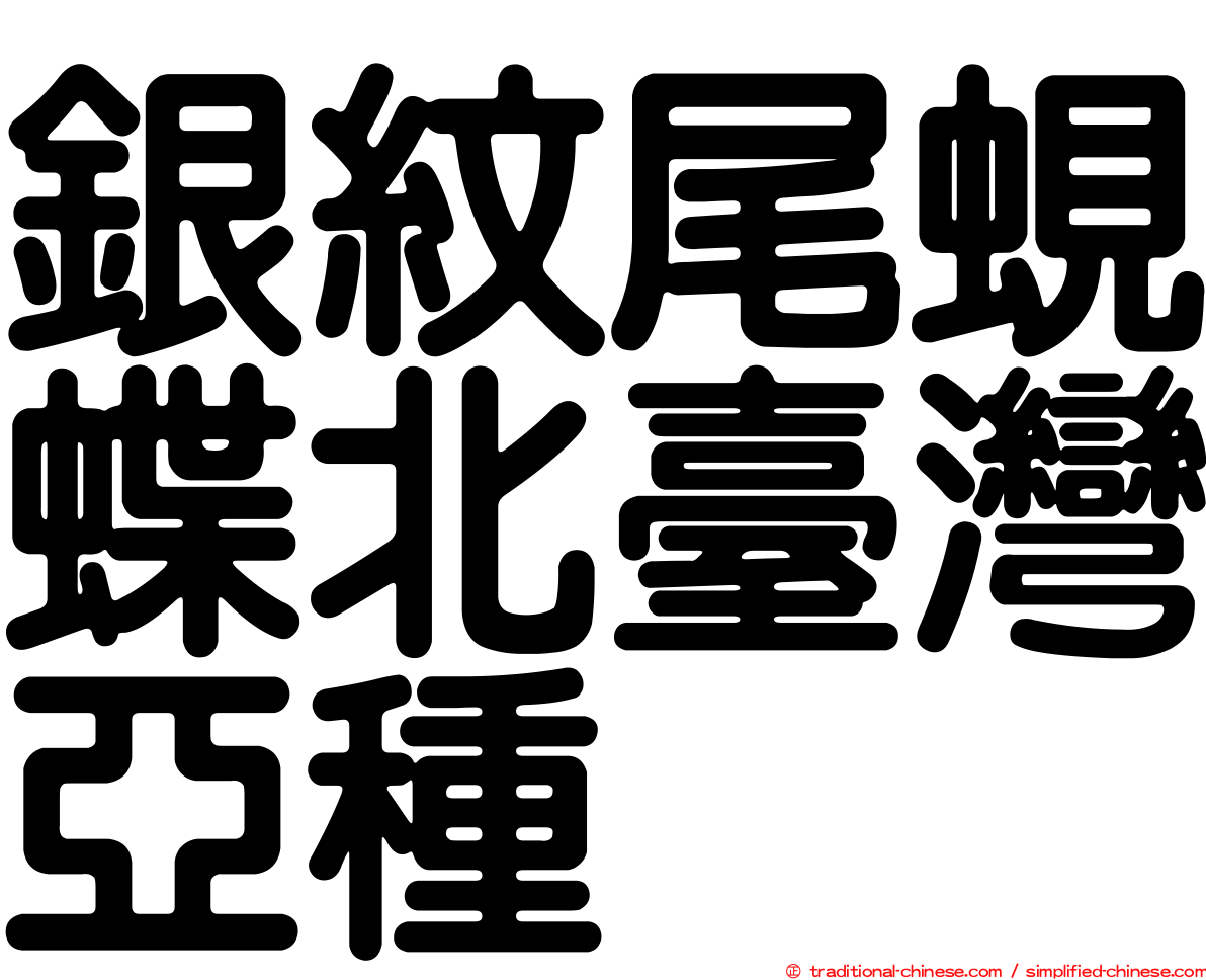 銀紋尾蜆蝶北臺灣亞種