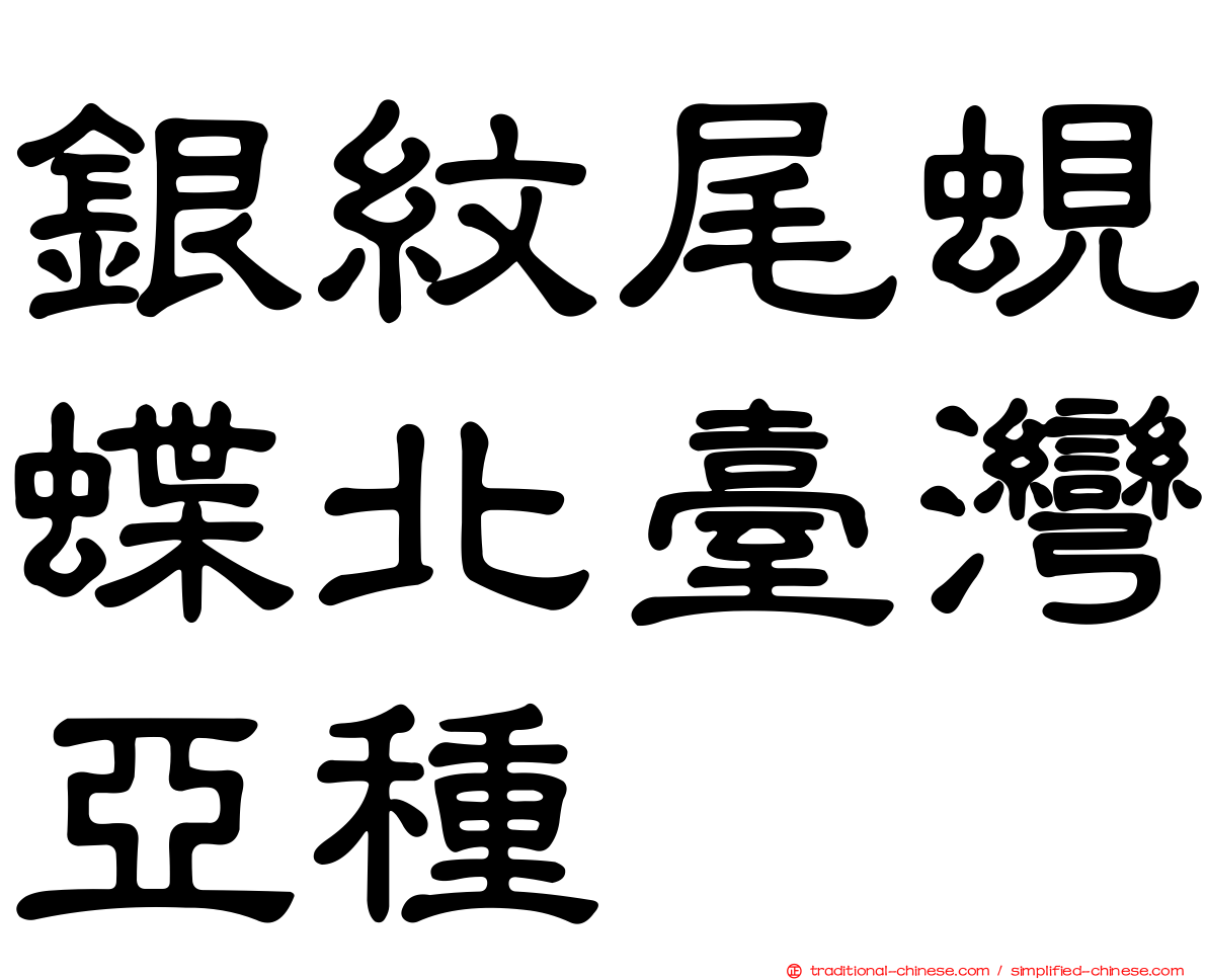 銀紋尾蜆蝶北臺灣亞種