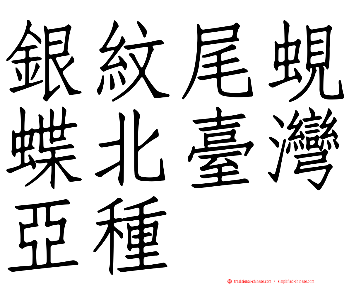 銀紋尾蜆蝶北臺灣亞種