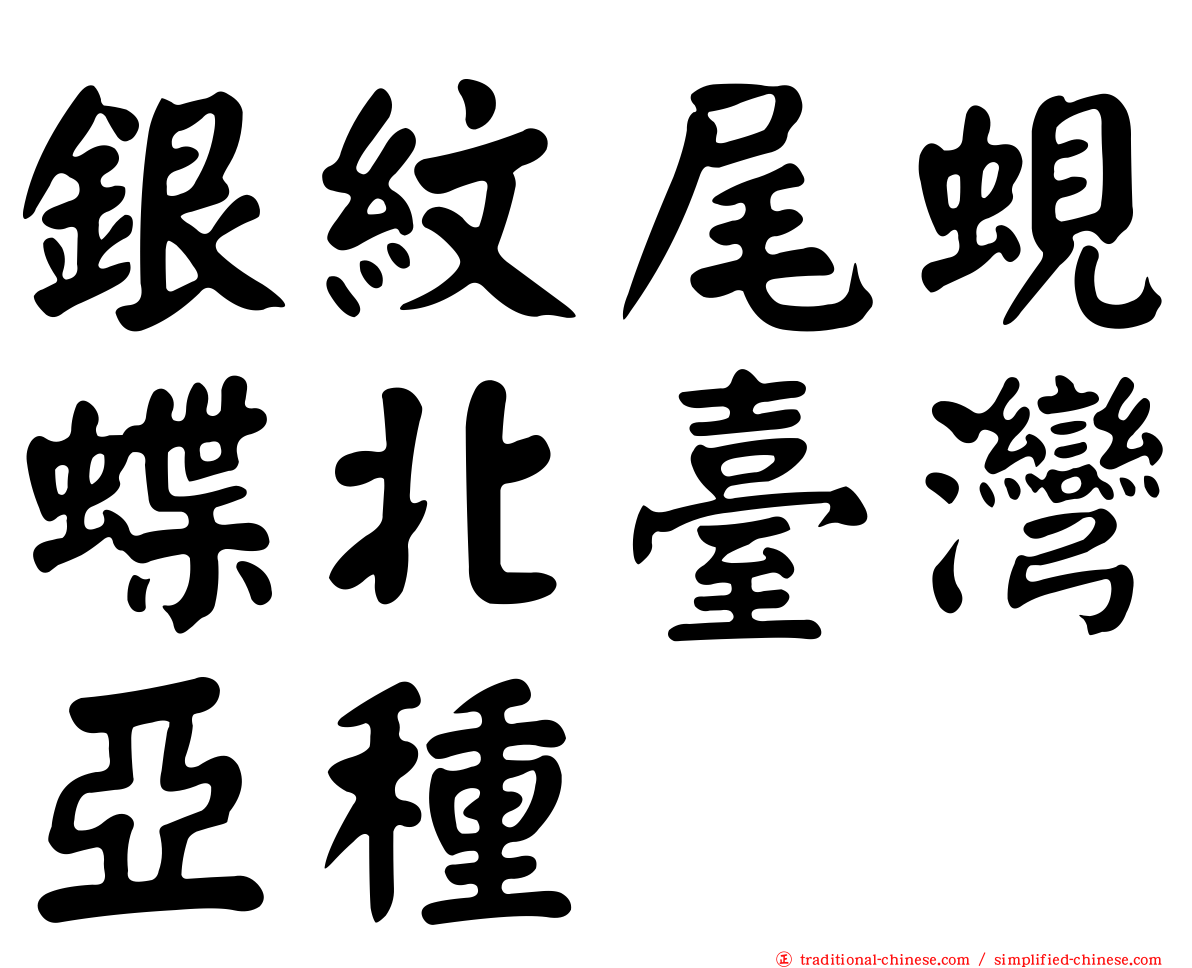 銀紋尾蜆蝶北臺灣亞種