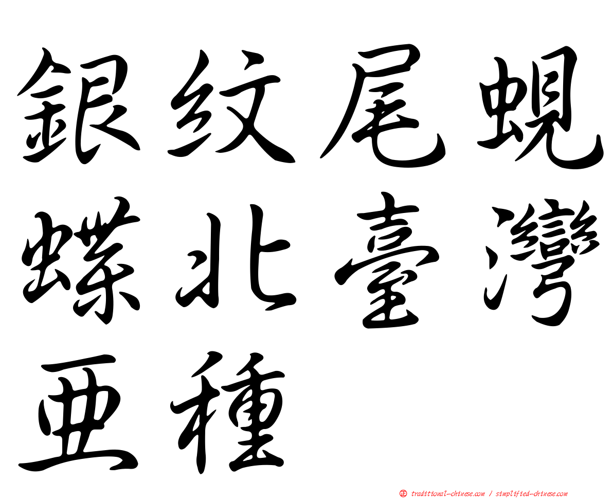 銀紋尾蜆蝶北臺灣亞種