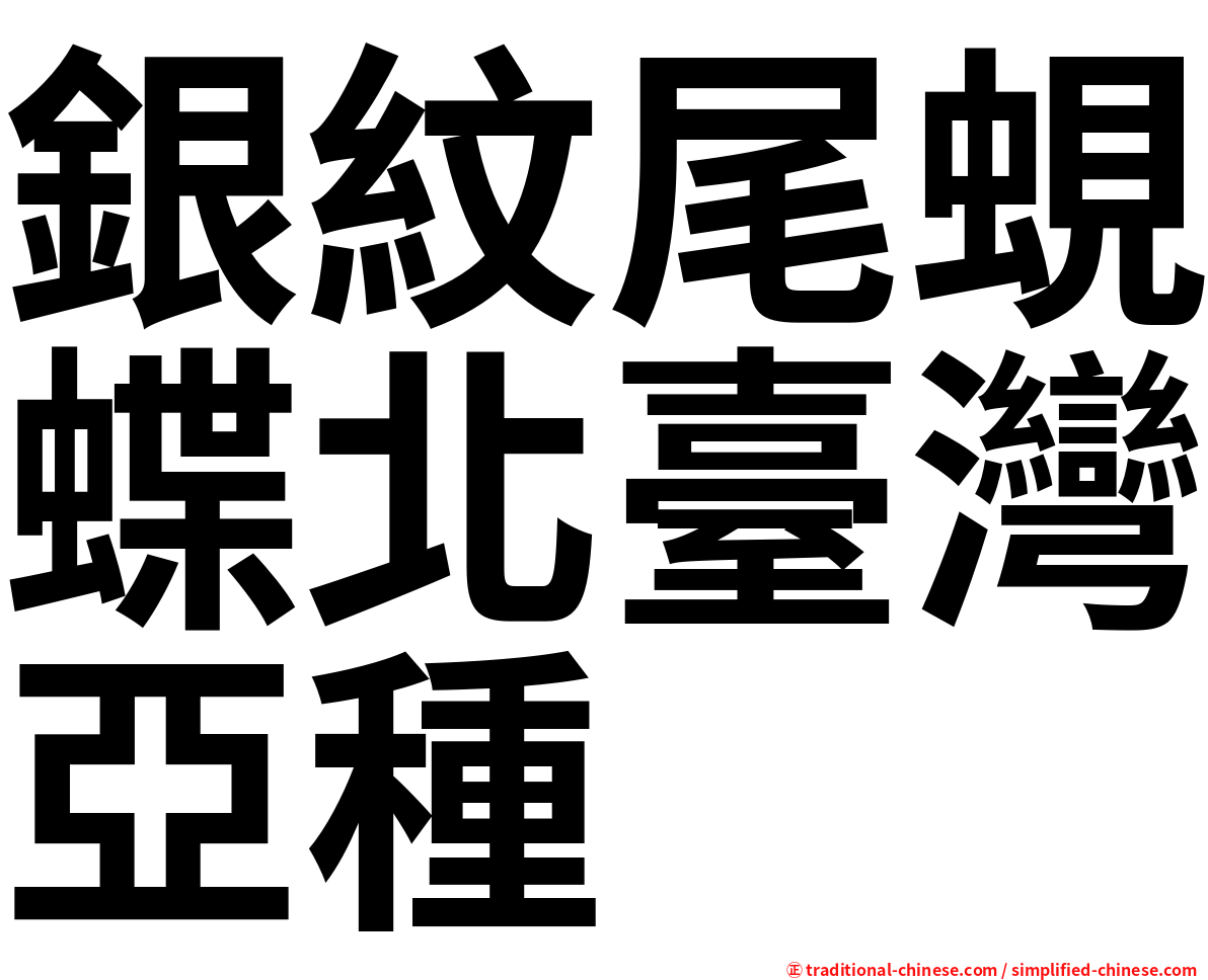 銀紋尾蜆蝶北臺灣亞種