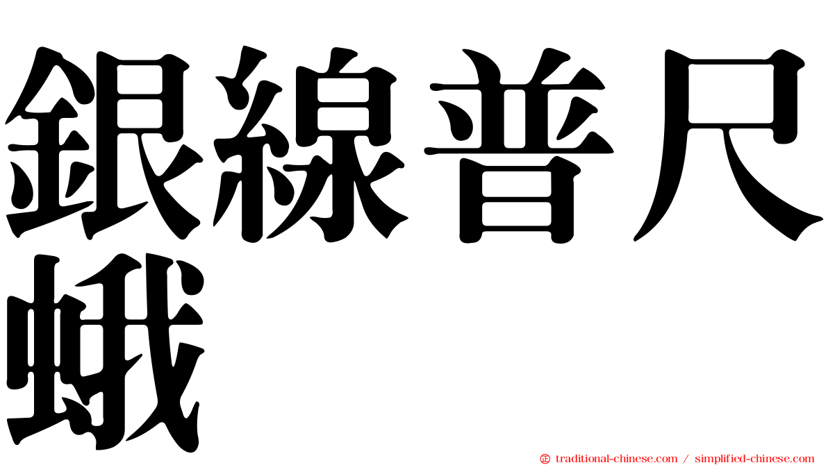 銀線普尺蛾
