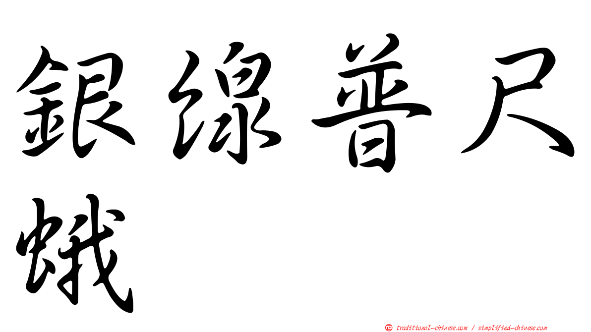 銀線普尺蛾