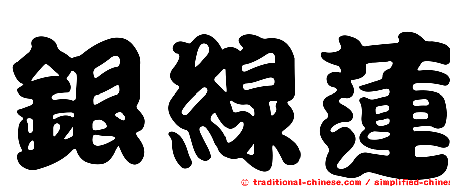 銀線蓮