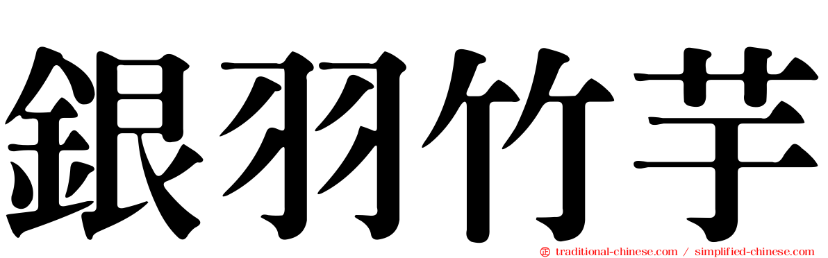 銀羽竹芋