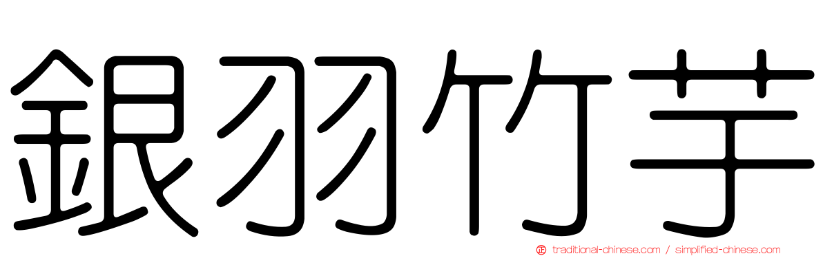 銀羽竹芋