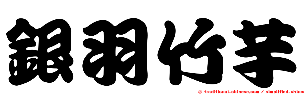 銀羽竹芋