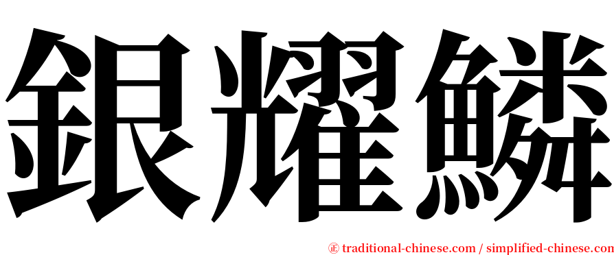 銀耀鱗 serif font
