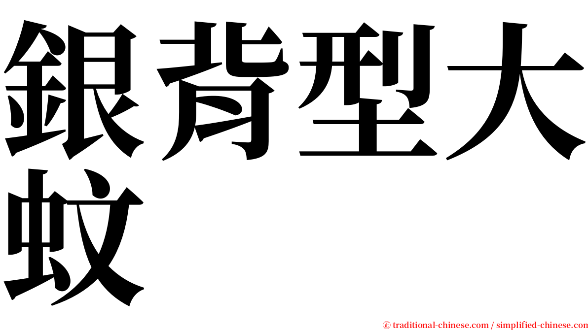 銀背型大蚊 serif font