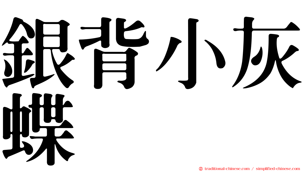 銀背小灰蝶